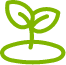 plant care