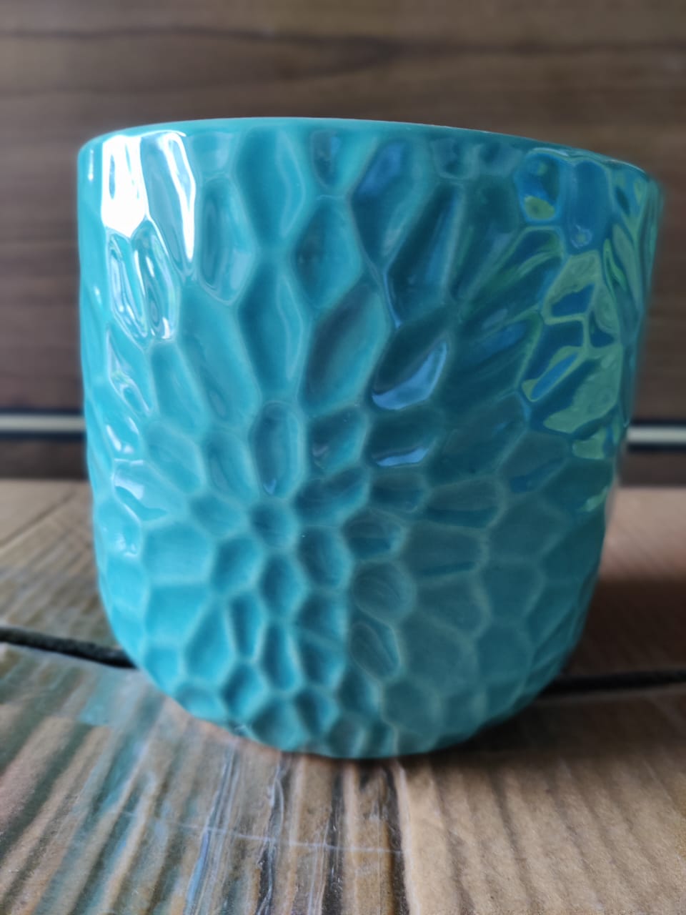 plants