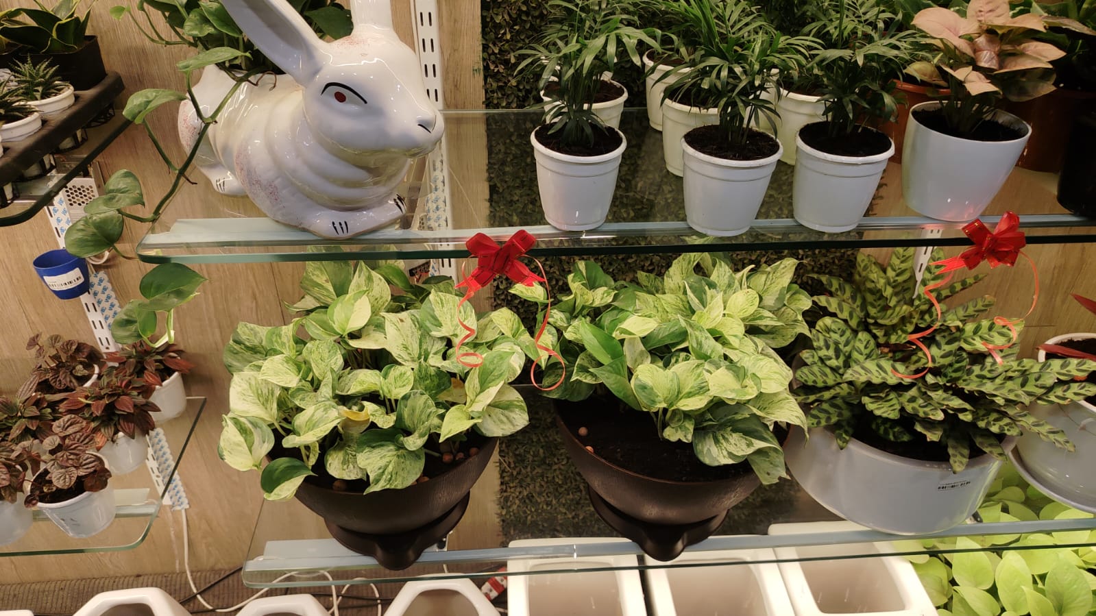 sustainable gardening