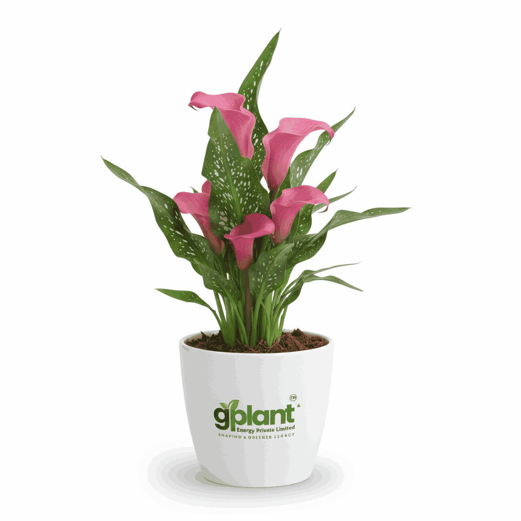 sustainable gardening