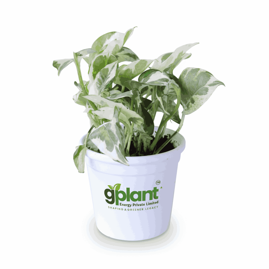 sustainable gardening