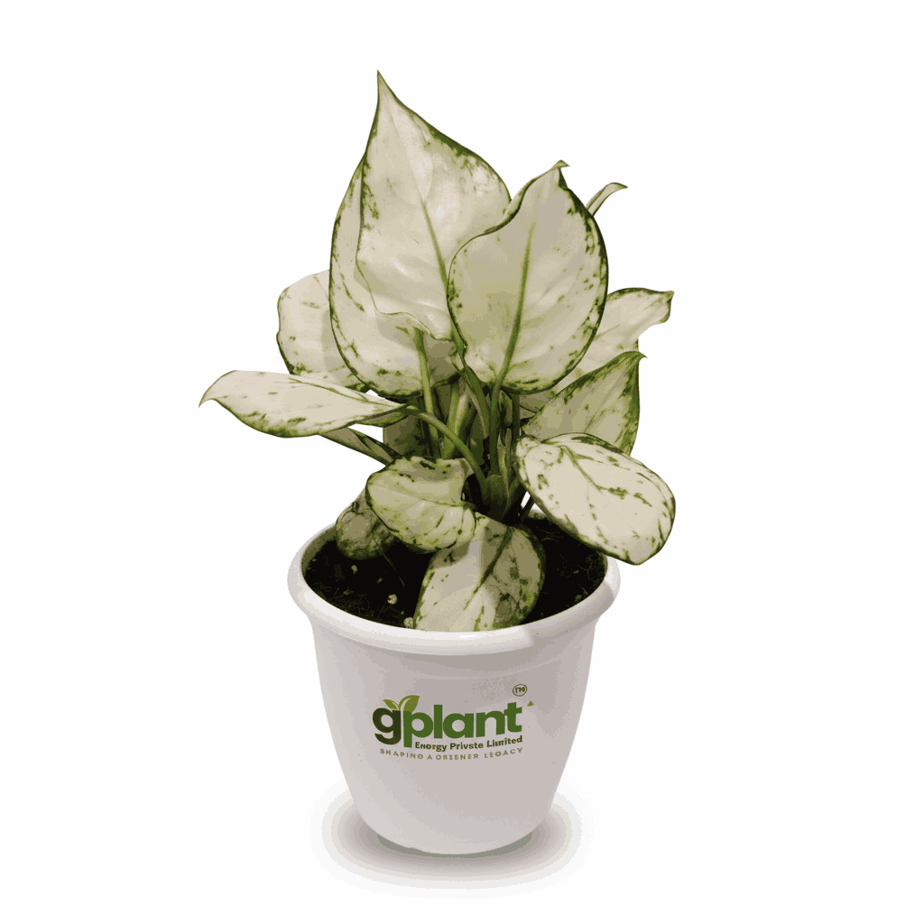 sustainable gardening