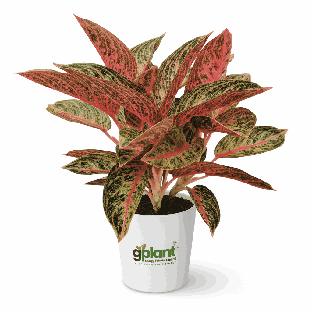 sustainable gardening