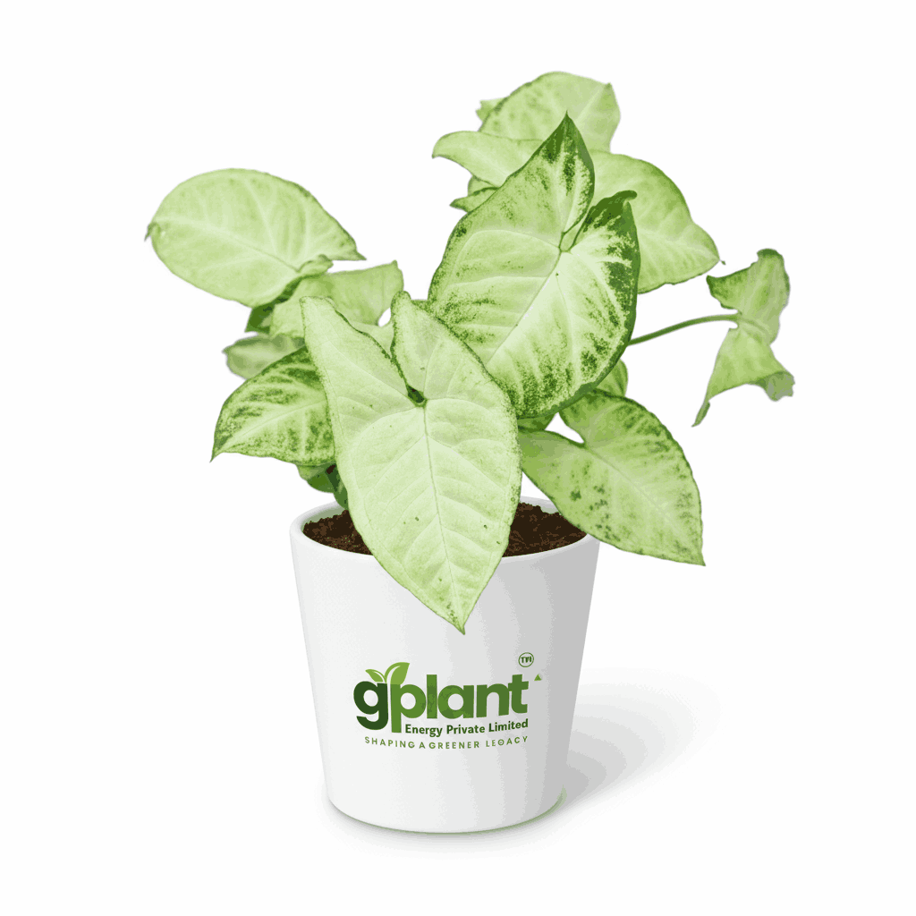 sustainable gardening