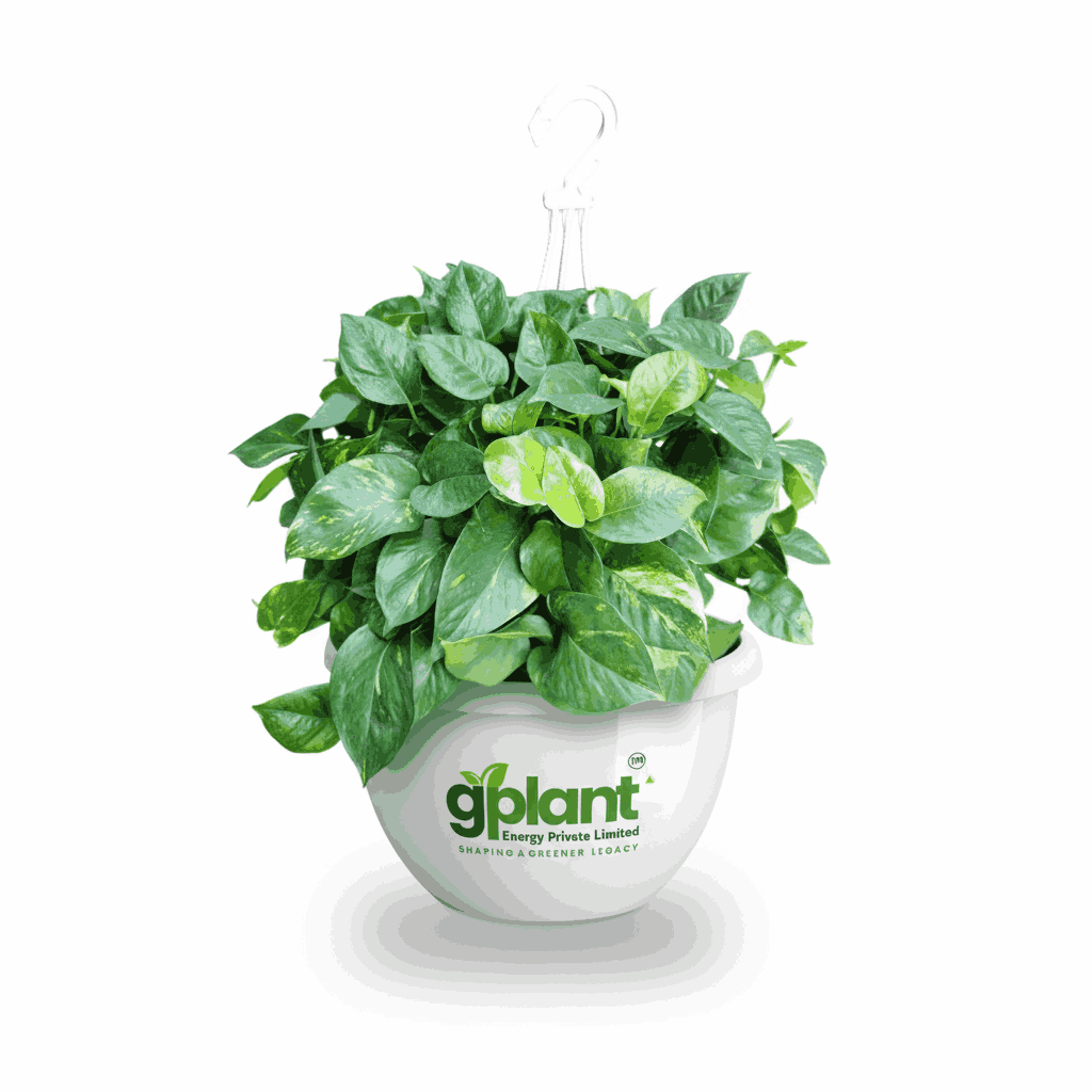 sustainable gardening