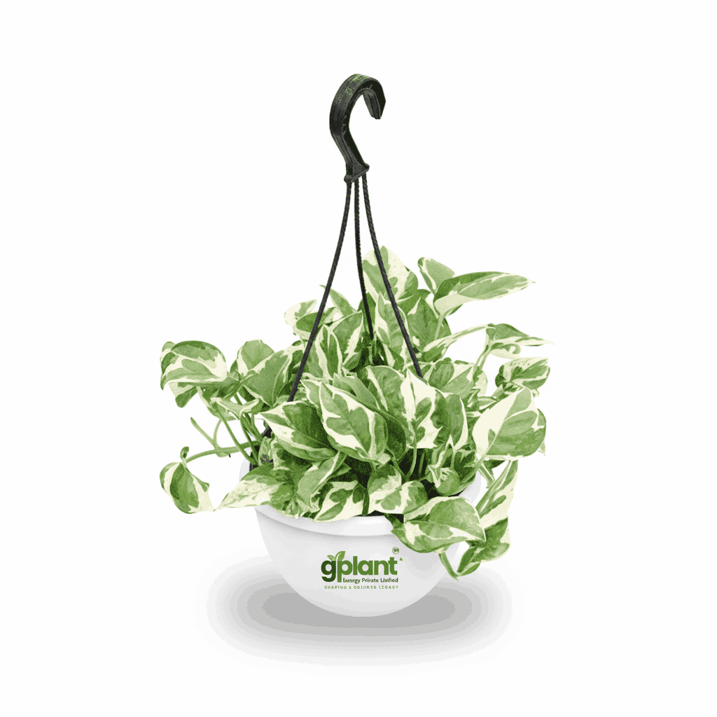 sustainable gardening