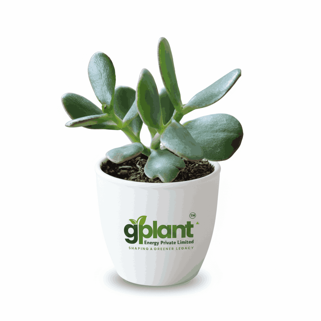 sustainable gardening