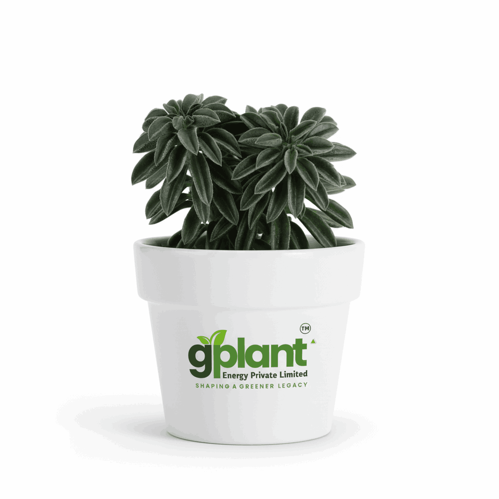 sustainable gardening