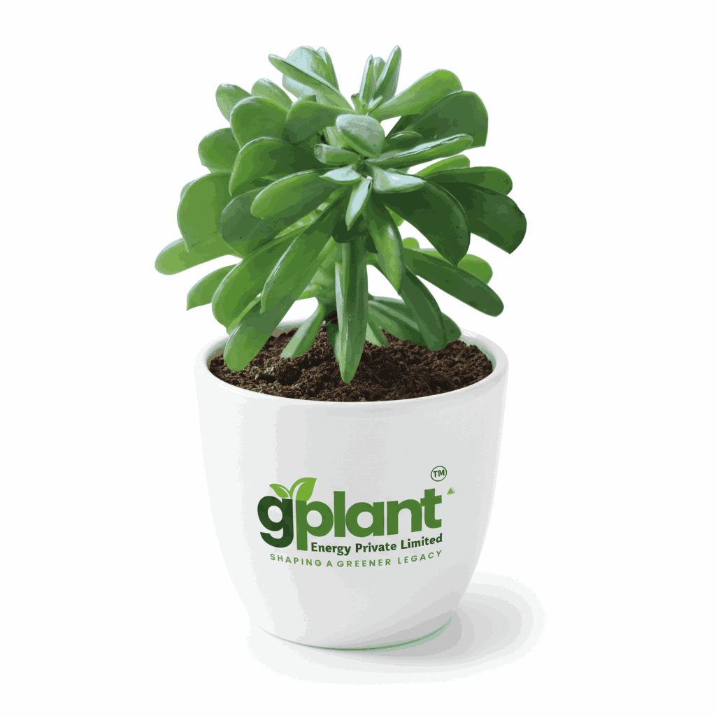 sustainable gardening