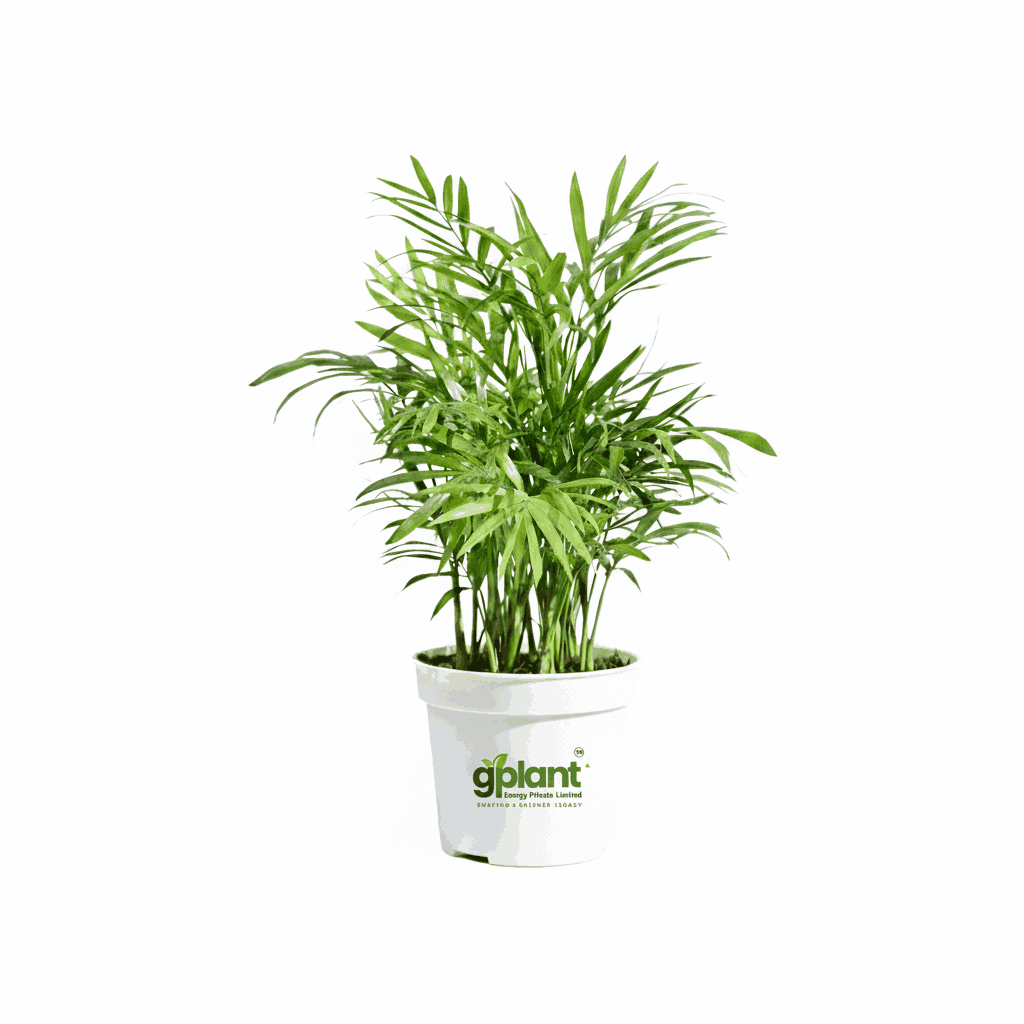 sustainable gardening