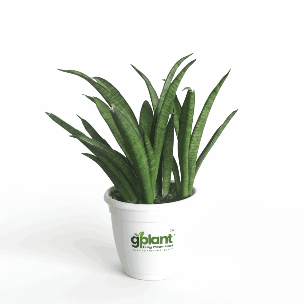 sustainable gardening