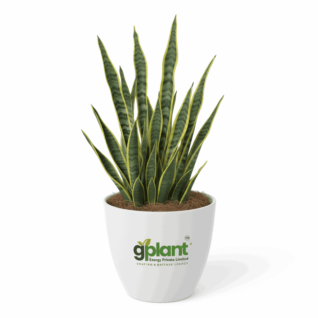 sustainable gardening