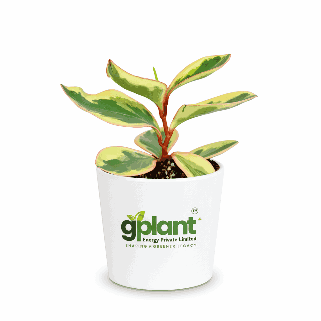 sustainable gardening