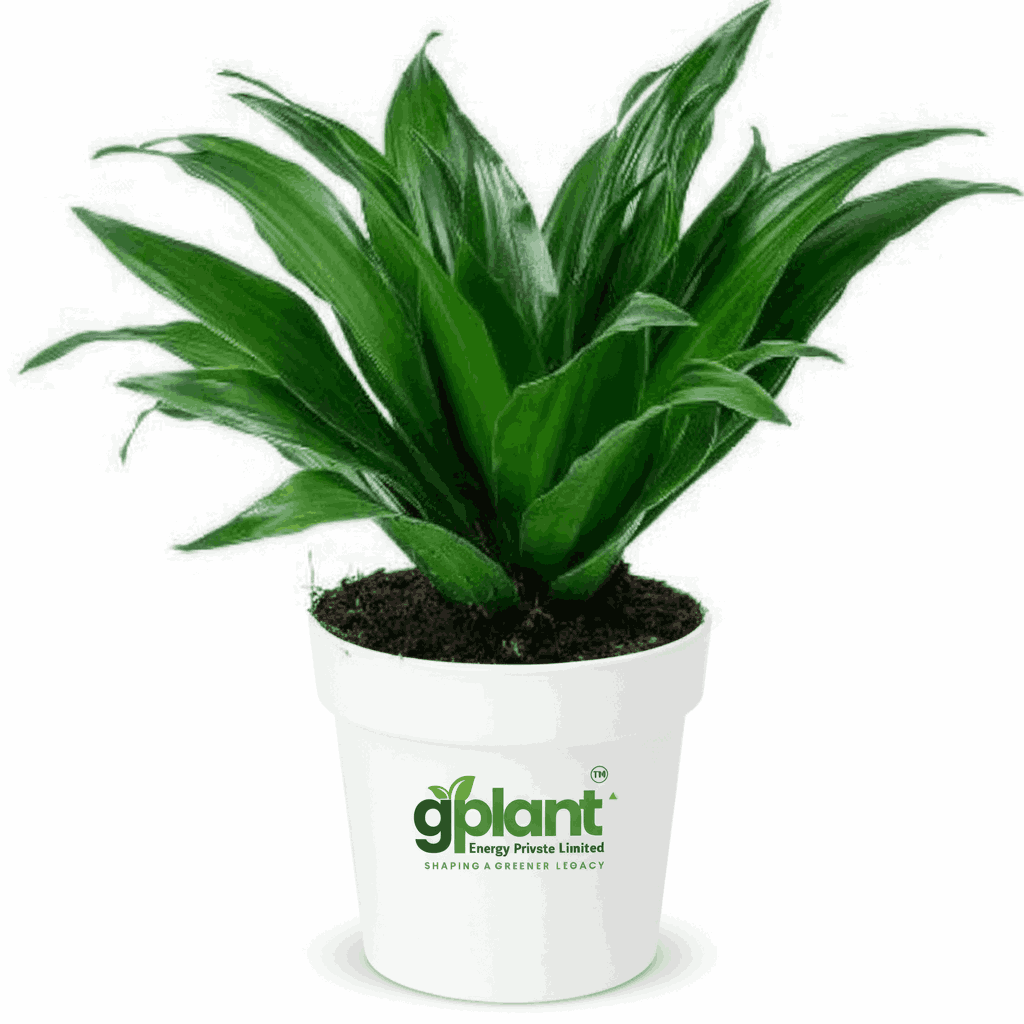 sustainable gardening