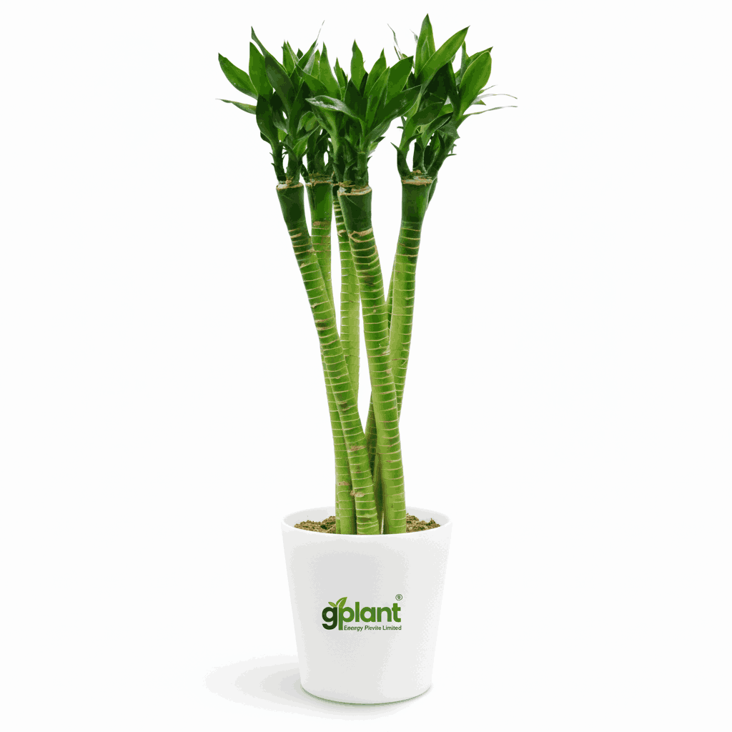 sustainable gardening