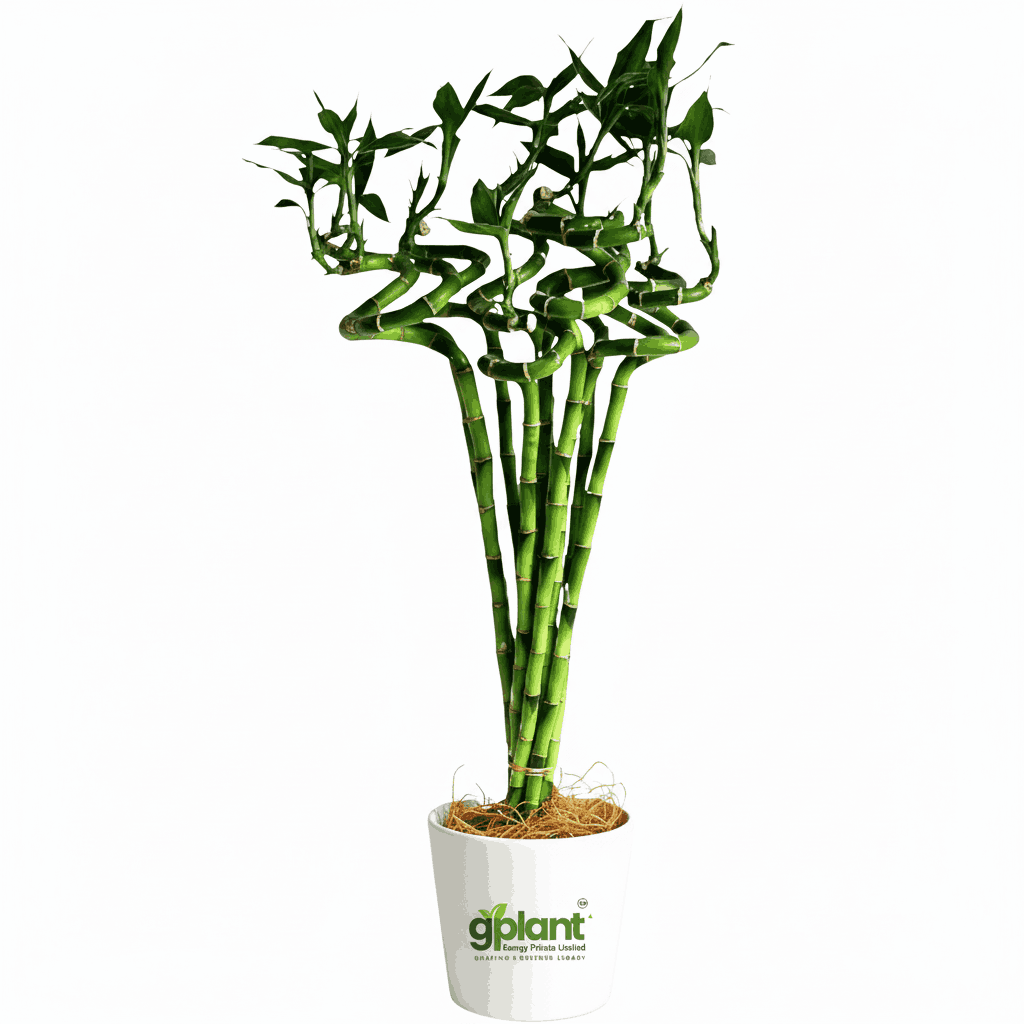 sustainable gardening