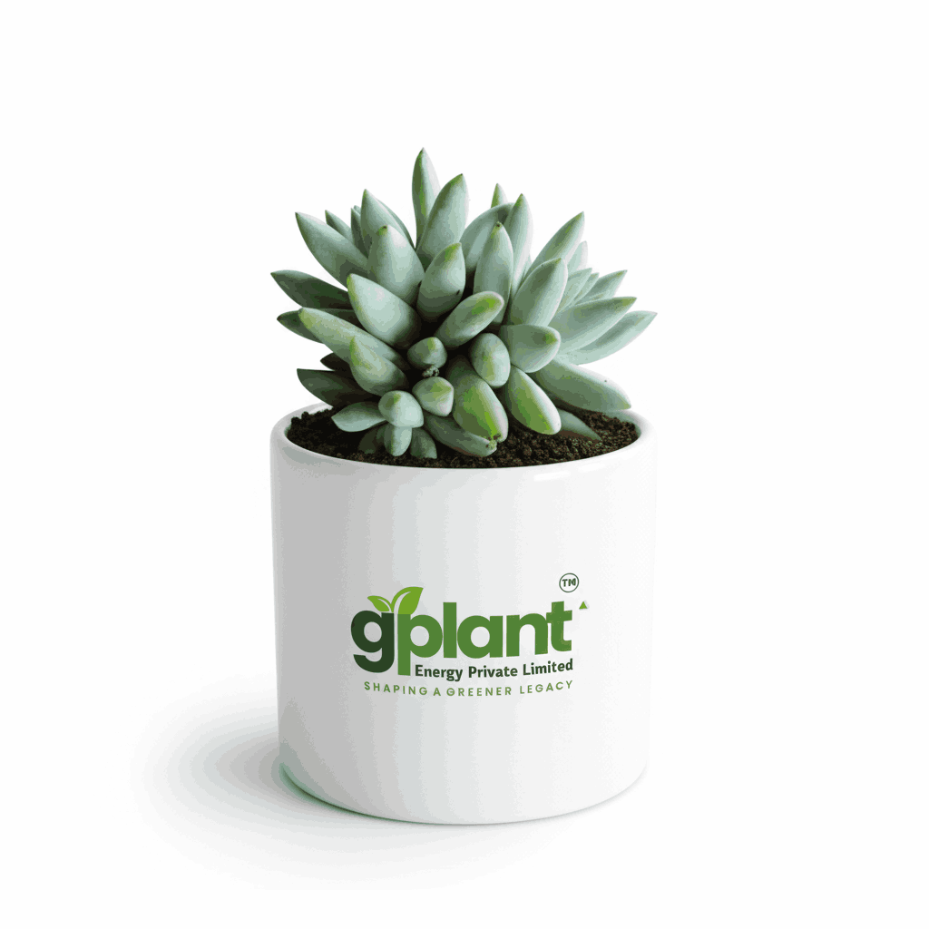 sustainable gardening