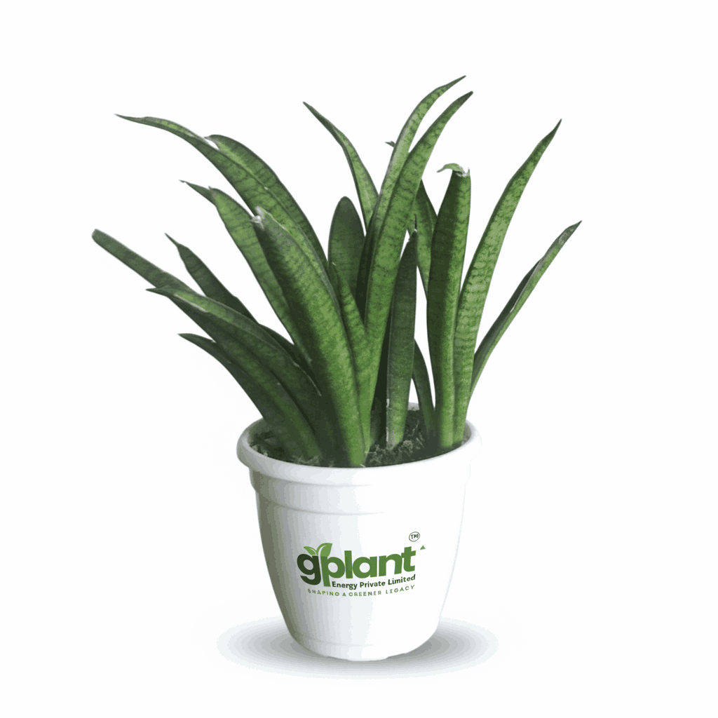 sustainable gardening