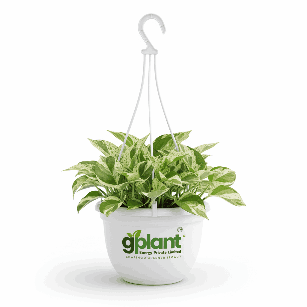 sustainable gardening