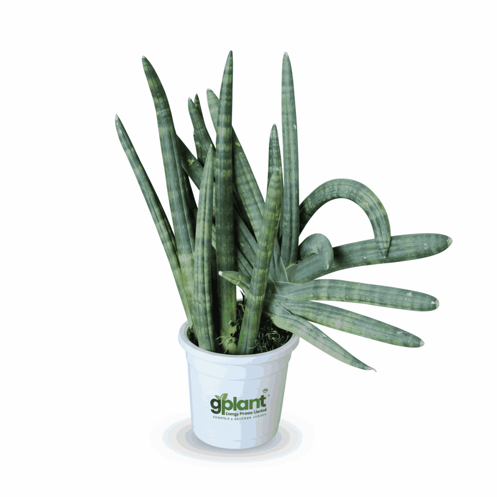 sustainable gardening