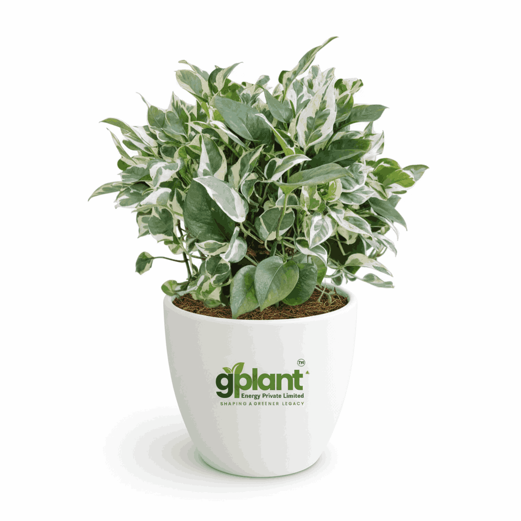 sustainable gardening