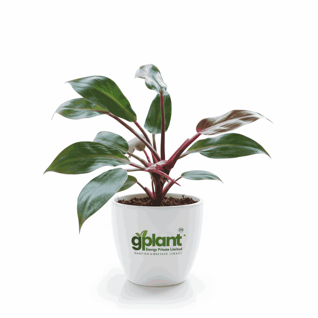 sustainable gardening