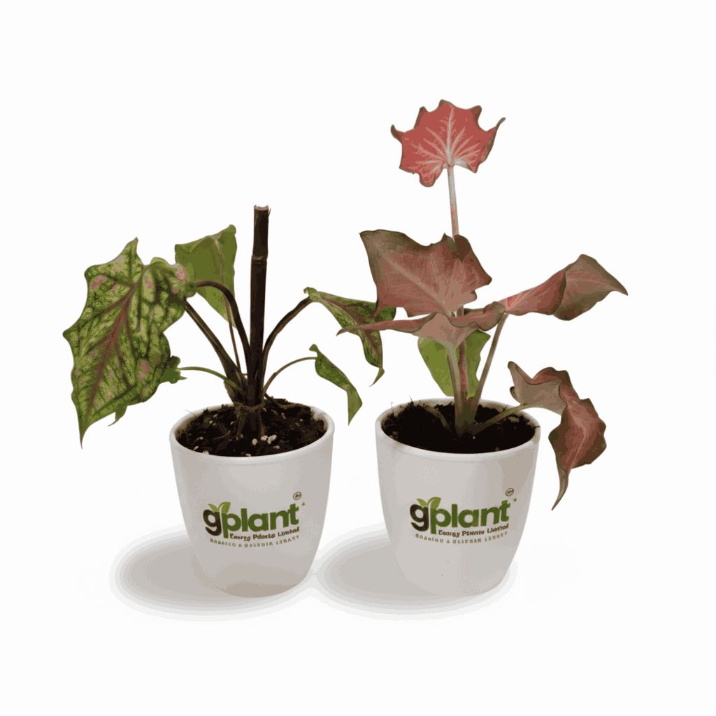 sustainable gardening