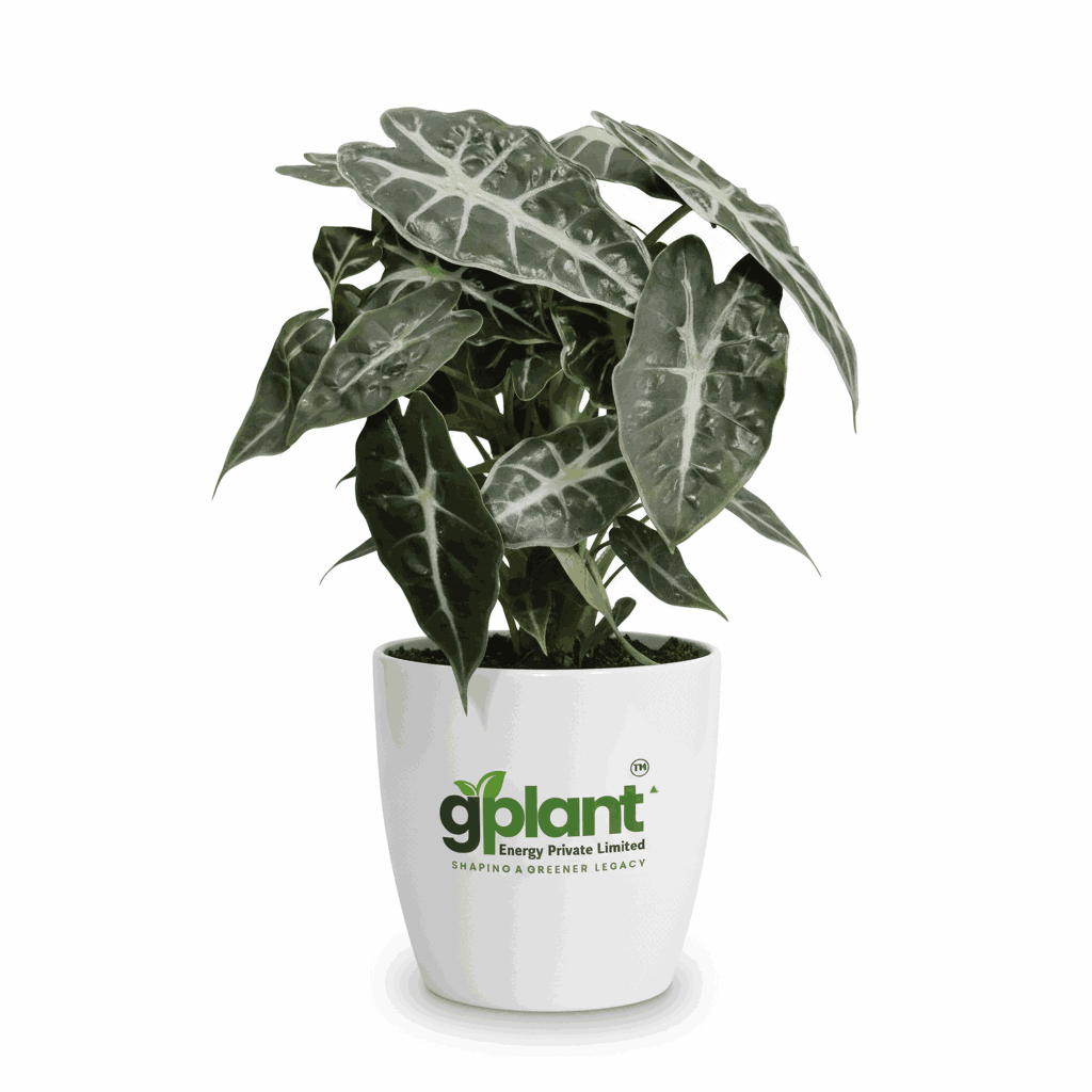 sustainable gardening