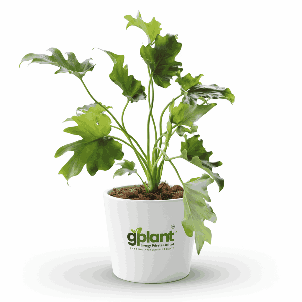 sustainable gardening