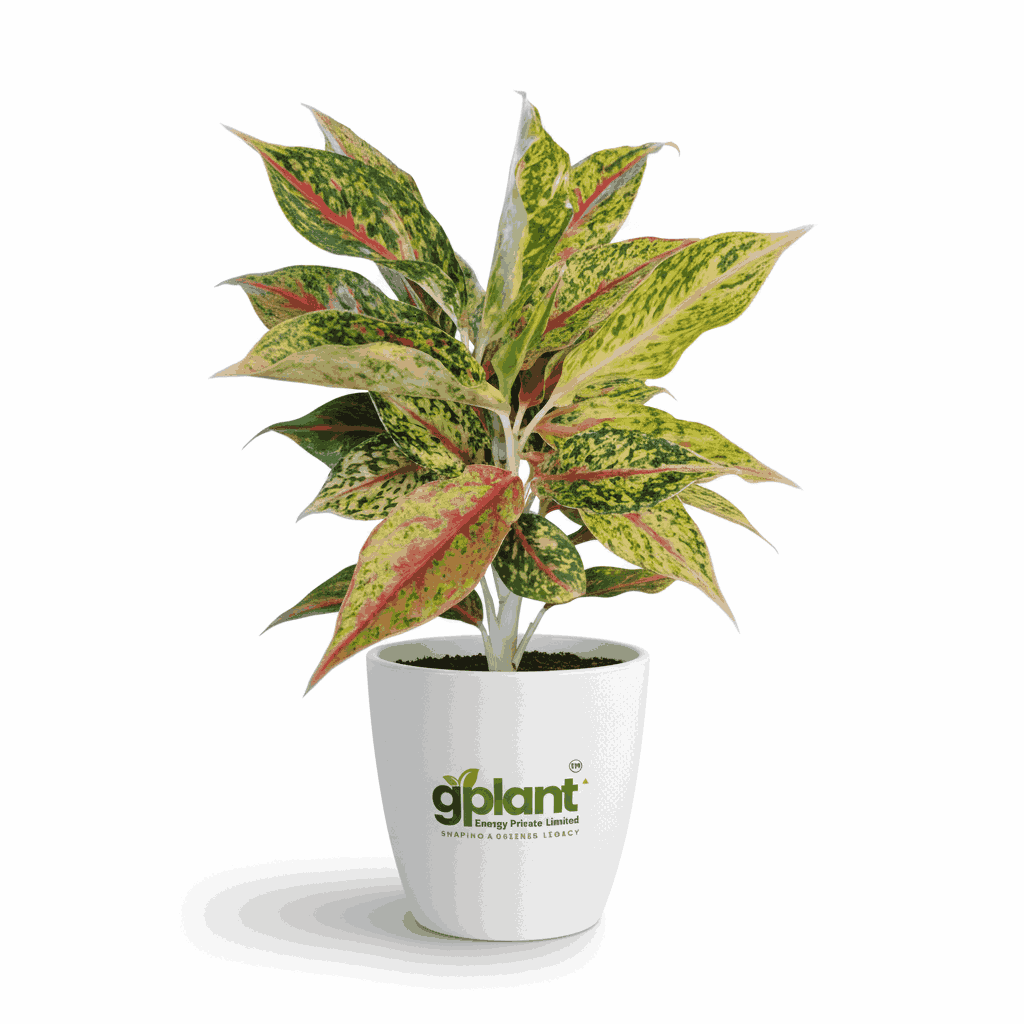 sustainable gardening