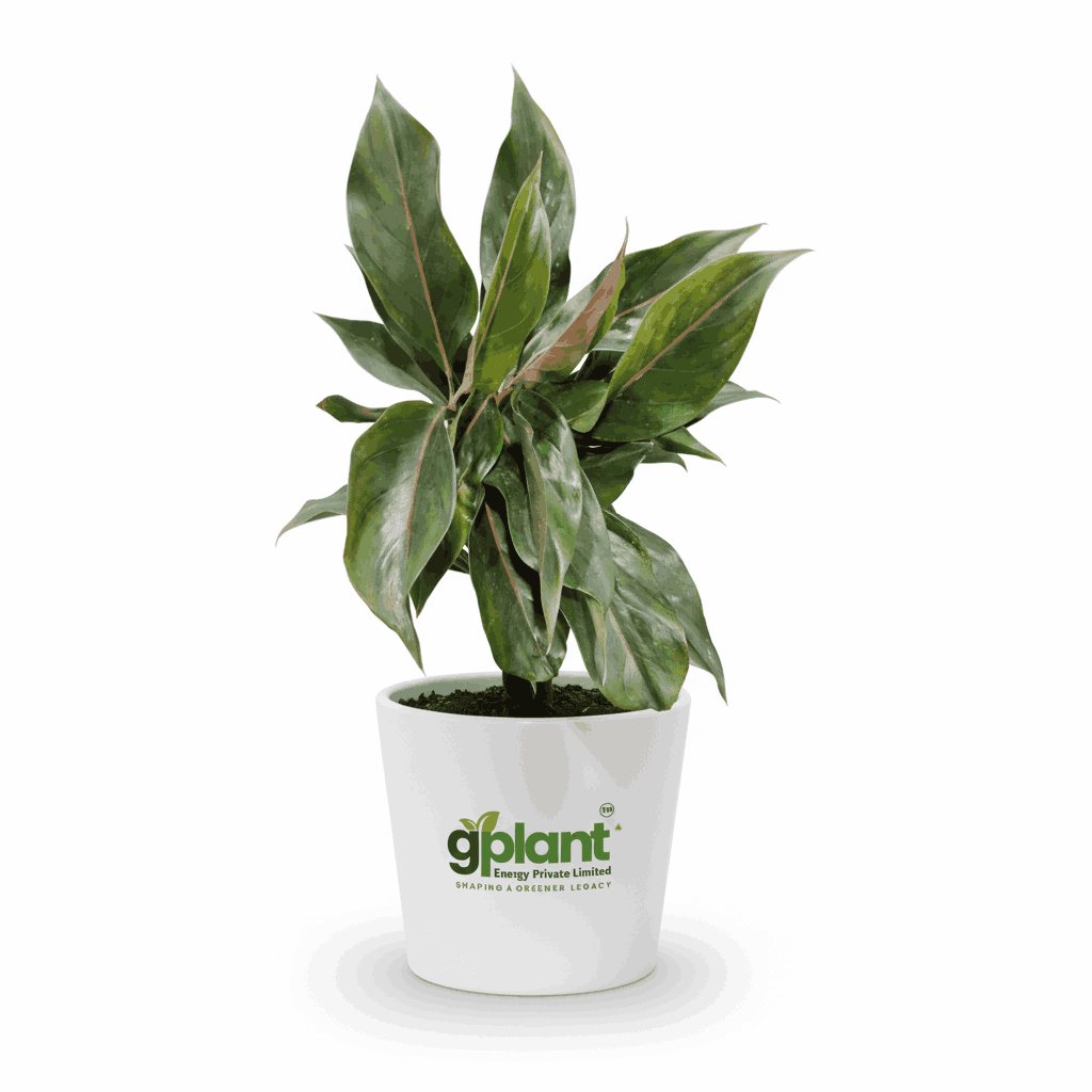 sustainable gardening