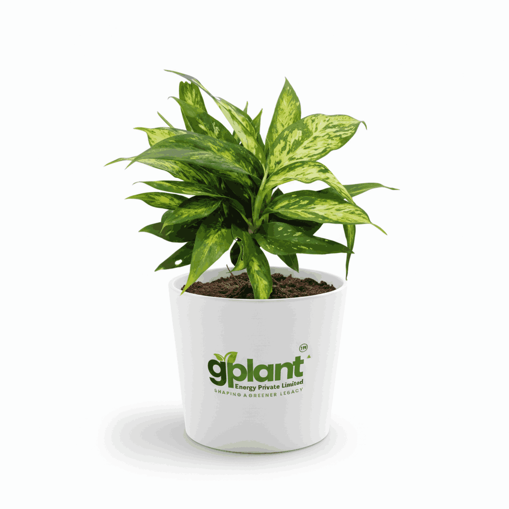 sustainable gardening