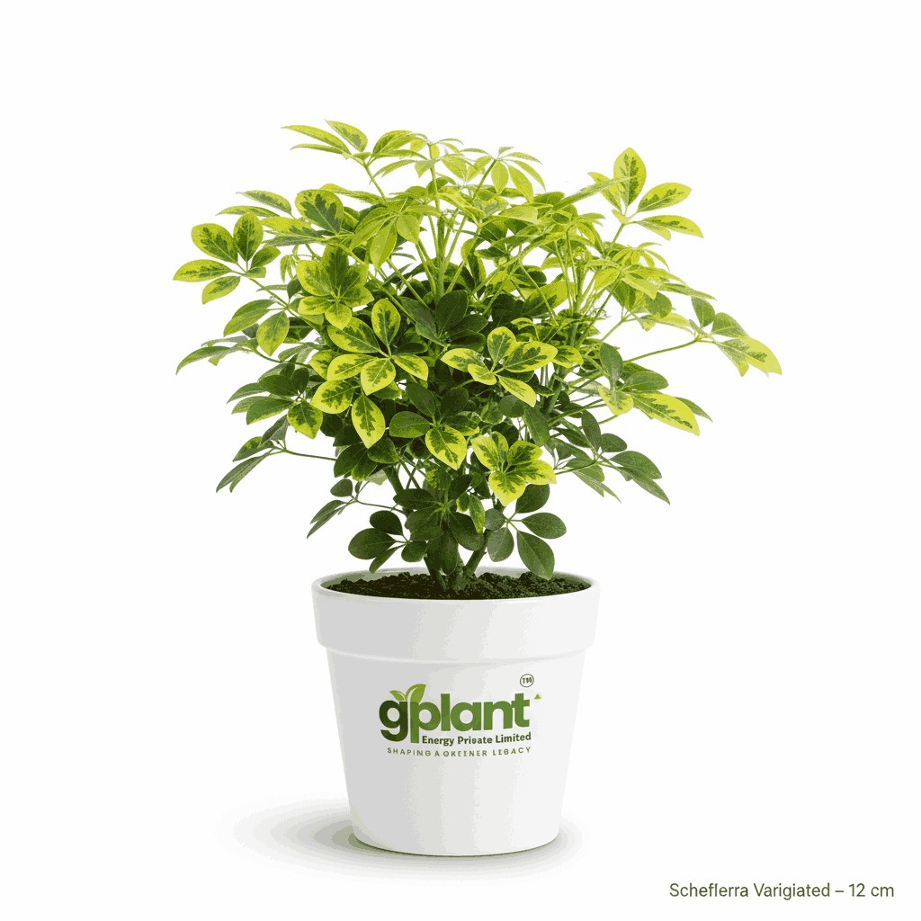 sustainable gardening