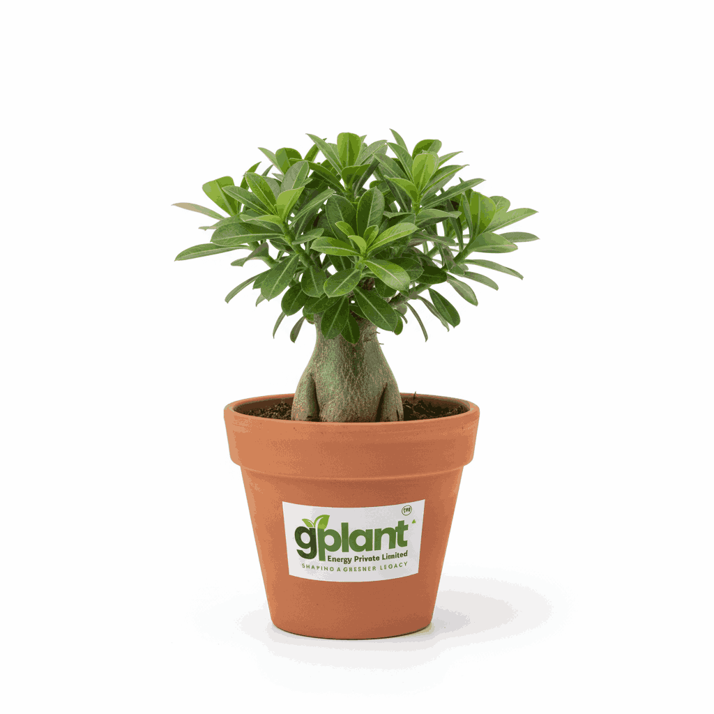 sustainable gardening