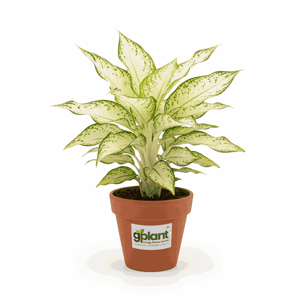 sustainable gardening