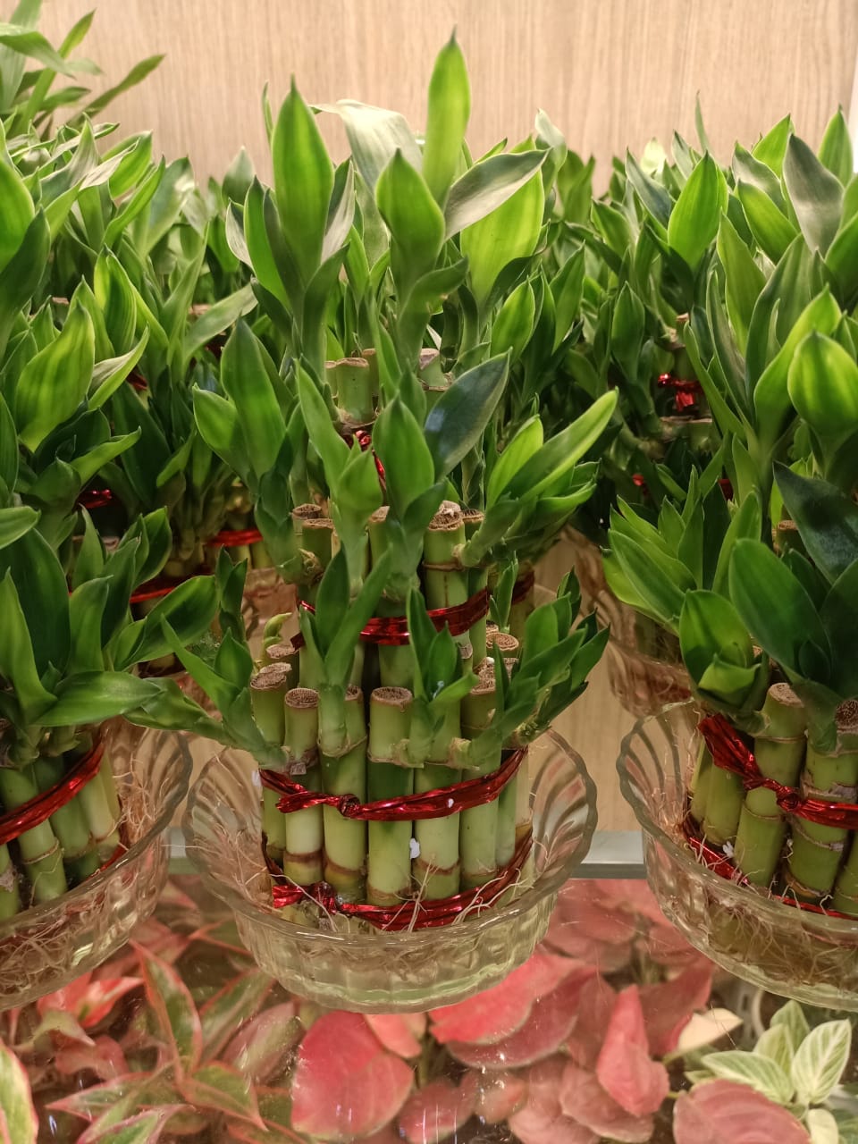 sustainable gardening