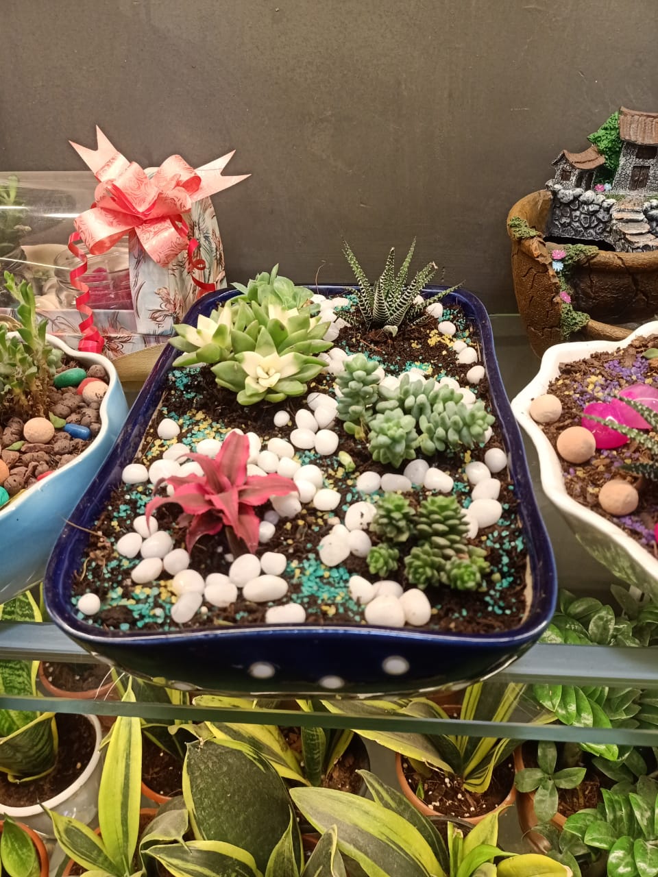 sustainable gardening