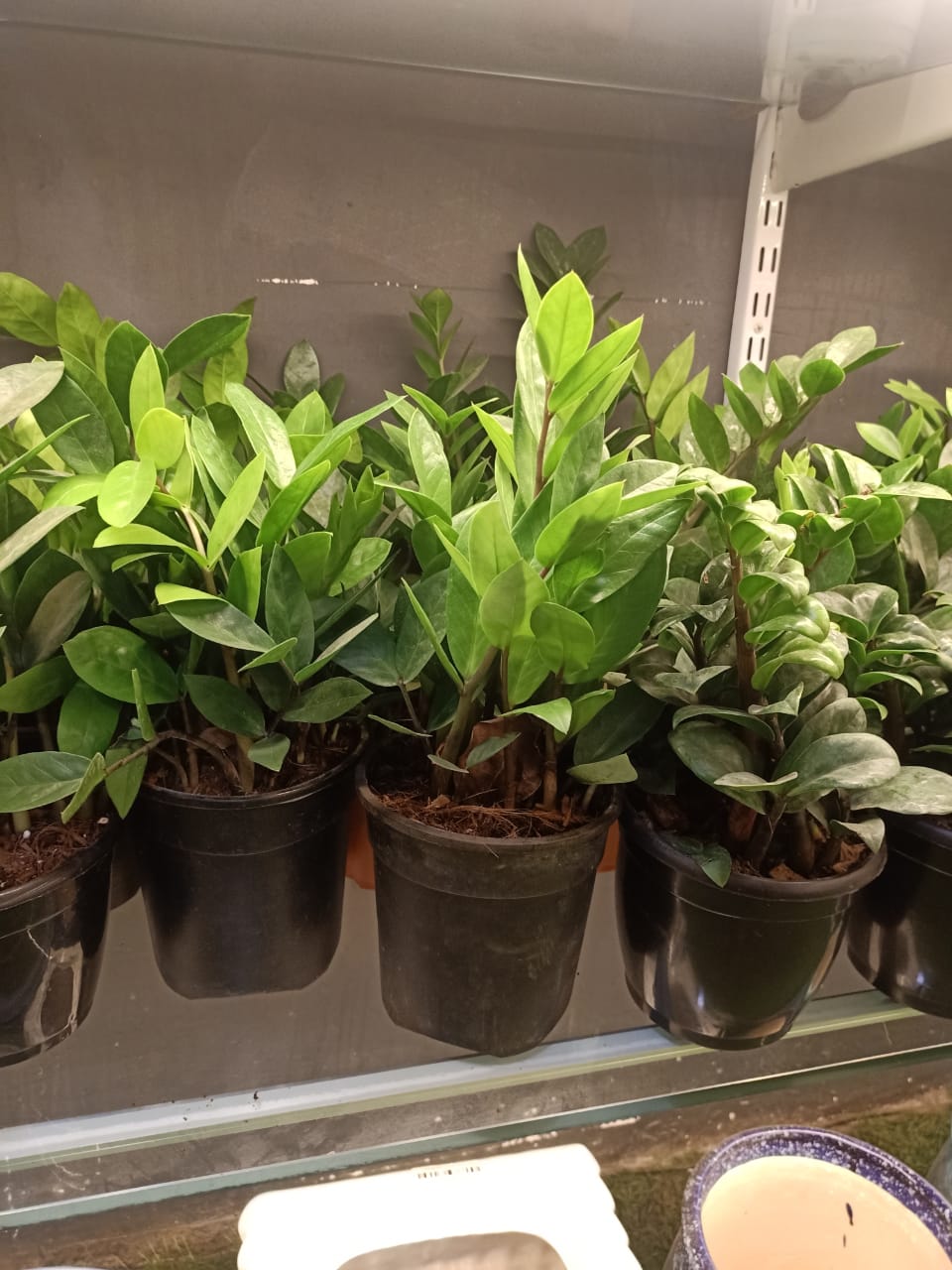 sustainable gardening