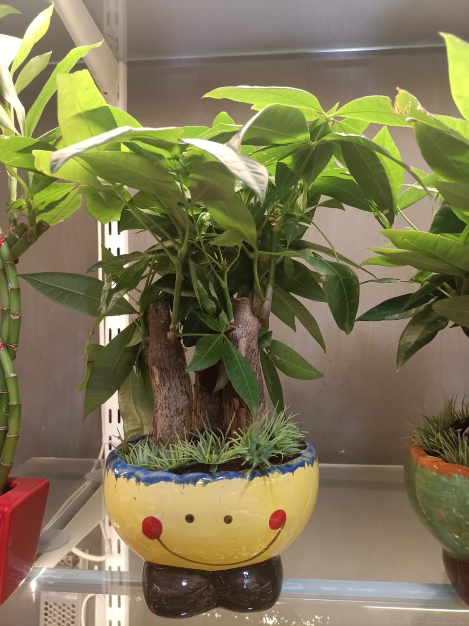 sustainable gardening