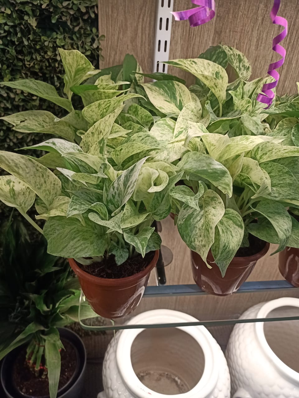 sustainable gardening