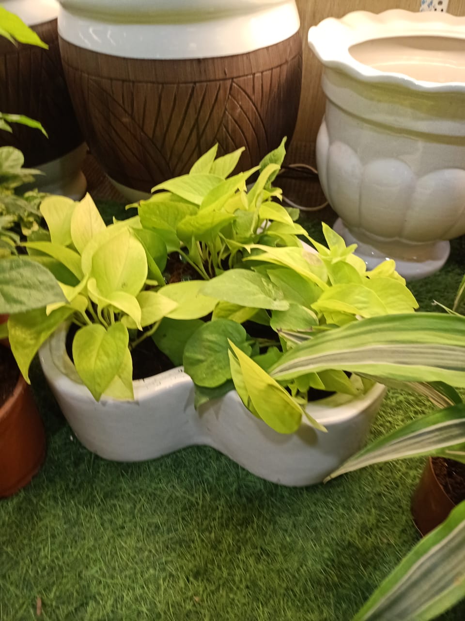 sustainable gardening