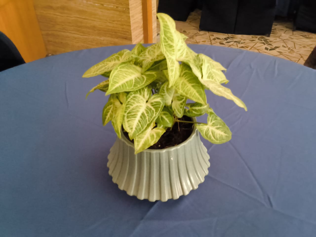 sustainable gardening