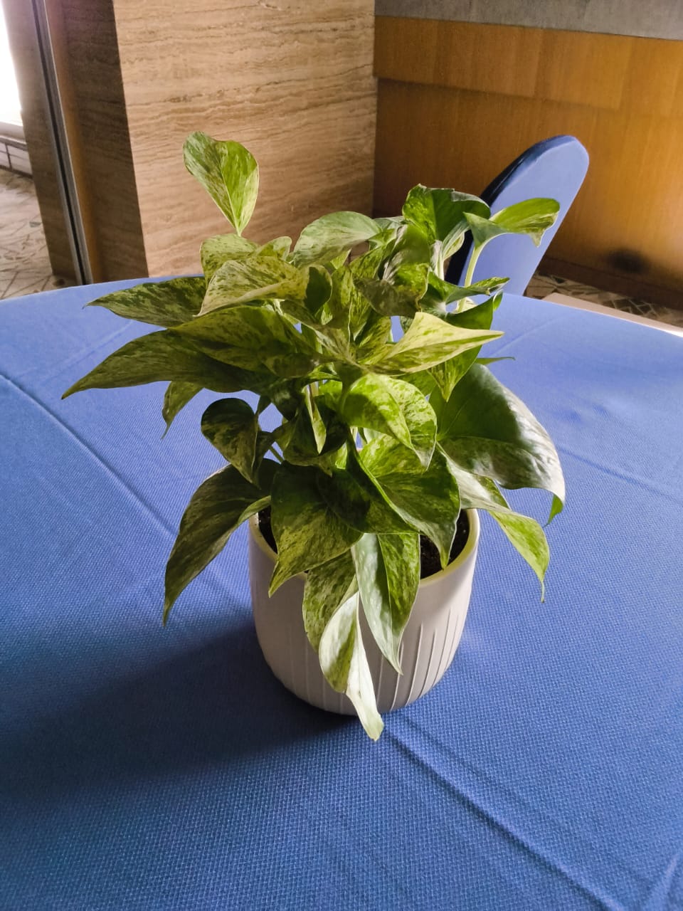 sustainable gardening