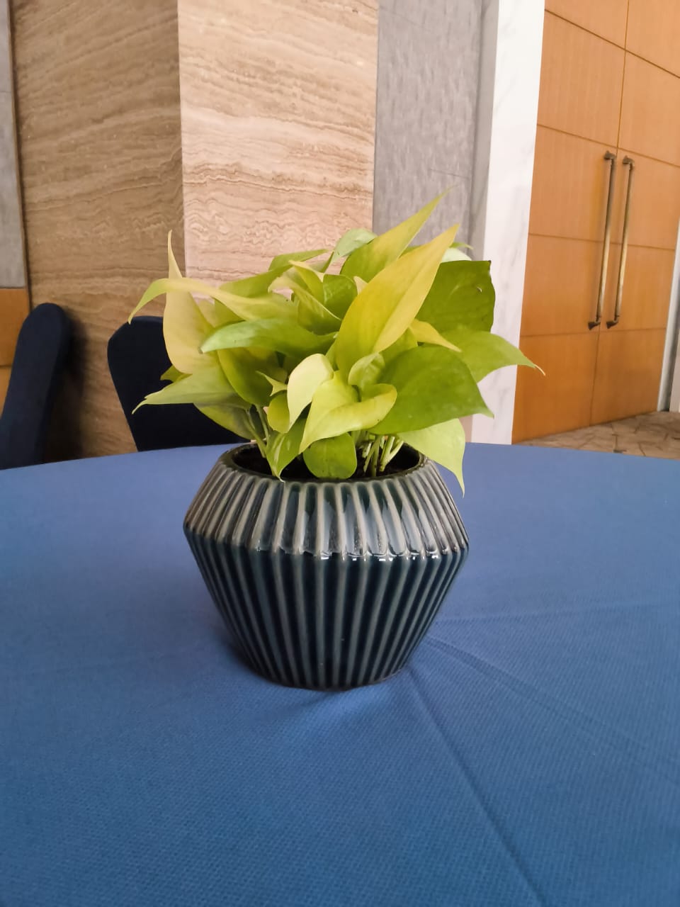 sustainable gardening