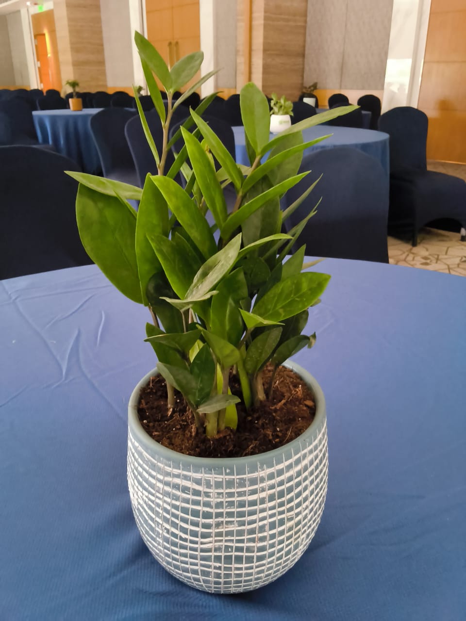 sustainable gardening