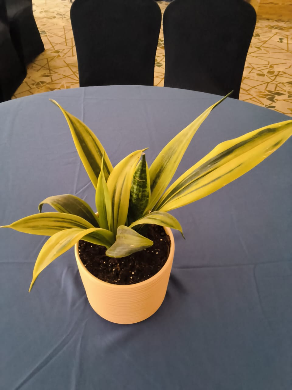 sustainable gardening