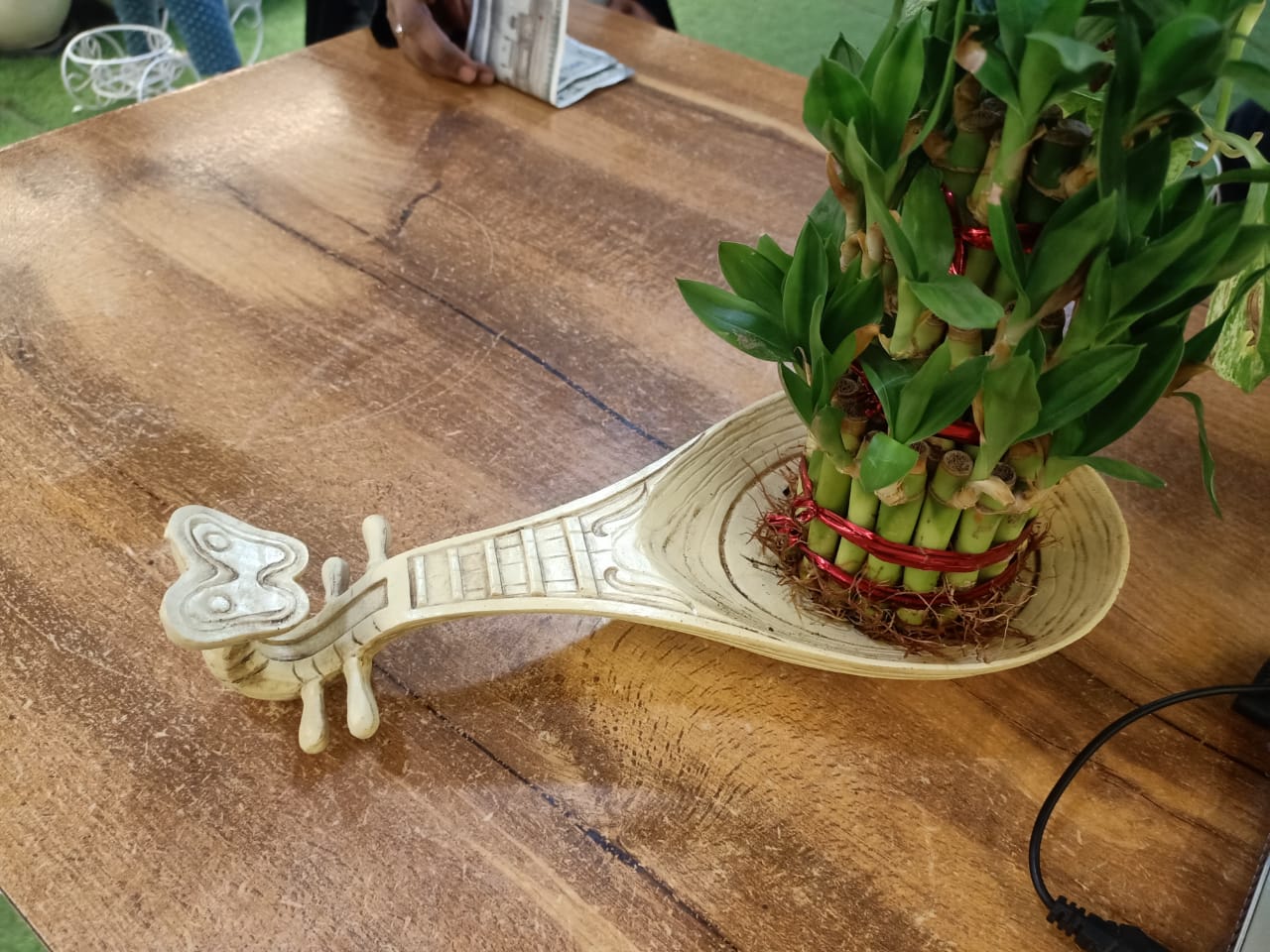 sustainable gardening