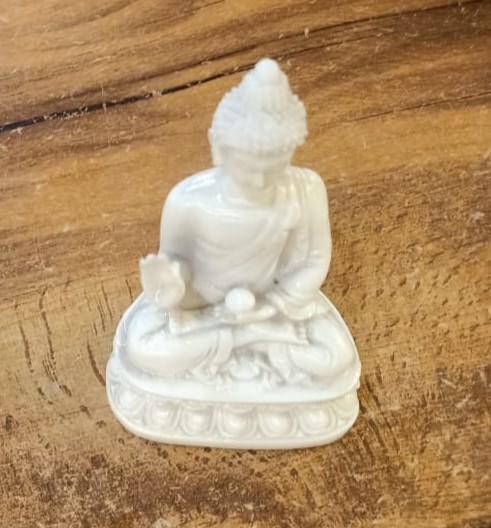 sustainable gardening