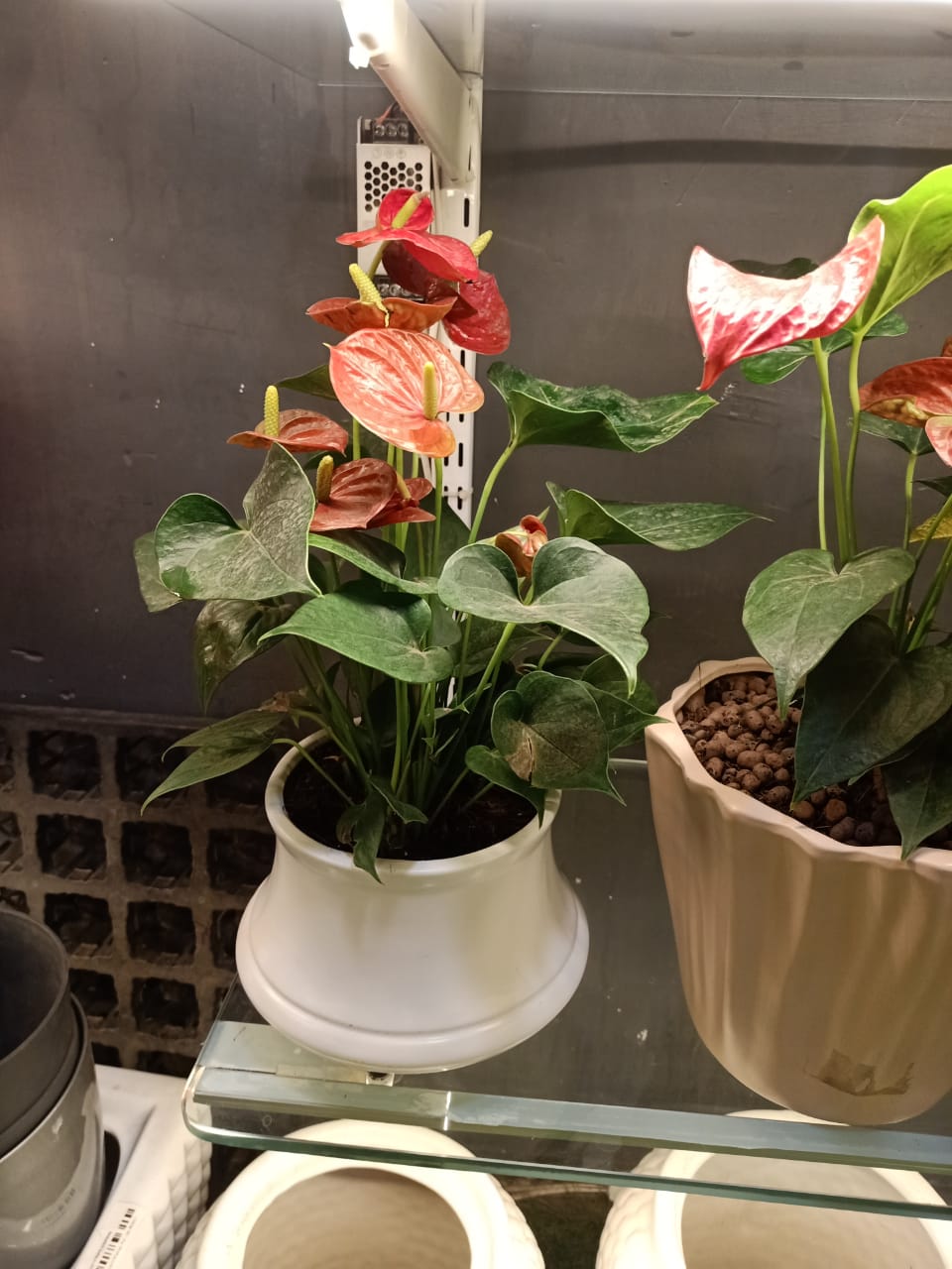 sustainable gardening