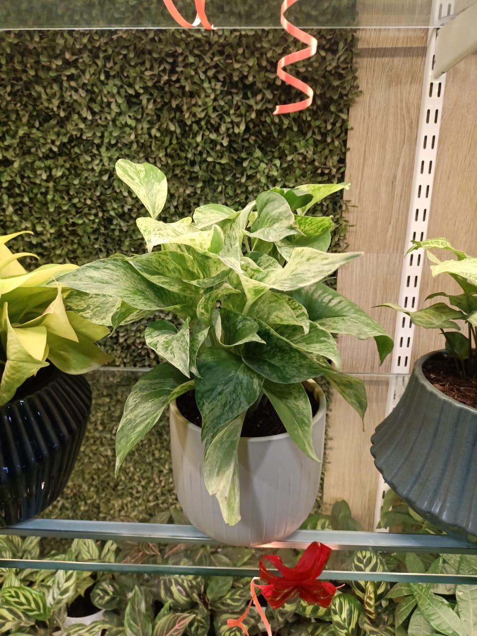 sustainable gardening